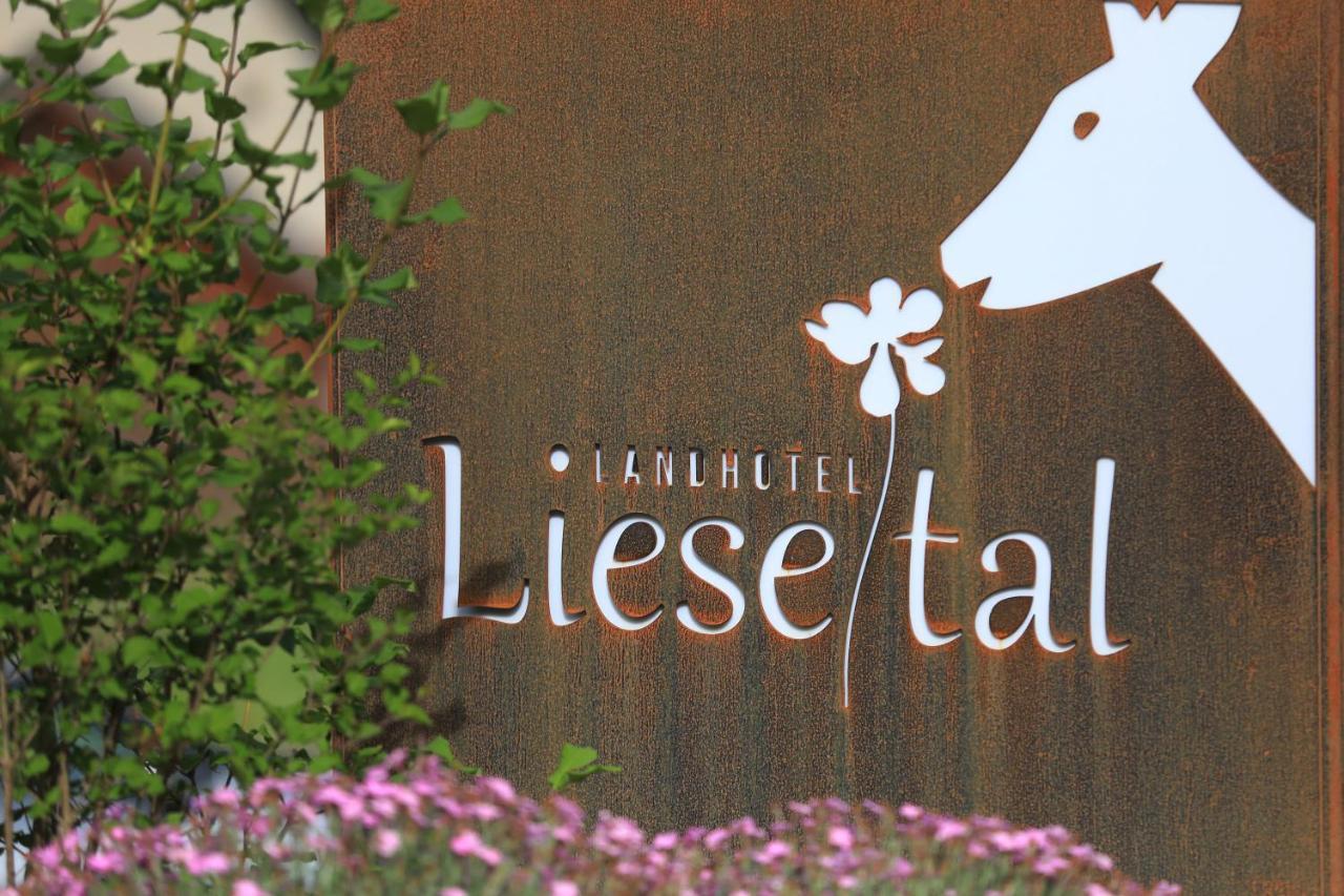 Landidyll Landhaus Liesetal 할렌버그 외부 사진